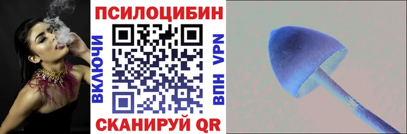 наркошоп  Кинешма  ссылка на мегу сайт  Галлюциногенные грибы прущие грибы 