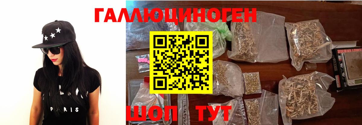 Кинешма  Псилоцибиновые грибы мицелий  где купить наркоту  Вход с VPN  Галлюциногенные грибы MAGIC MUSHROOMS 