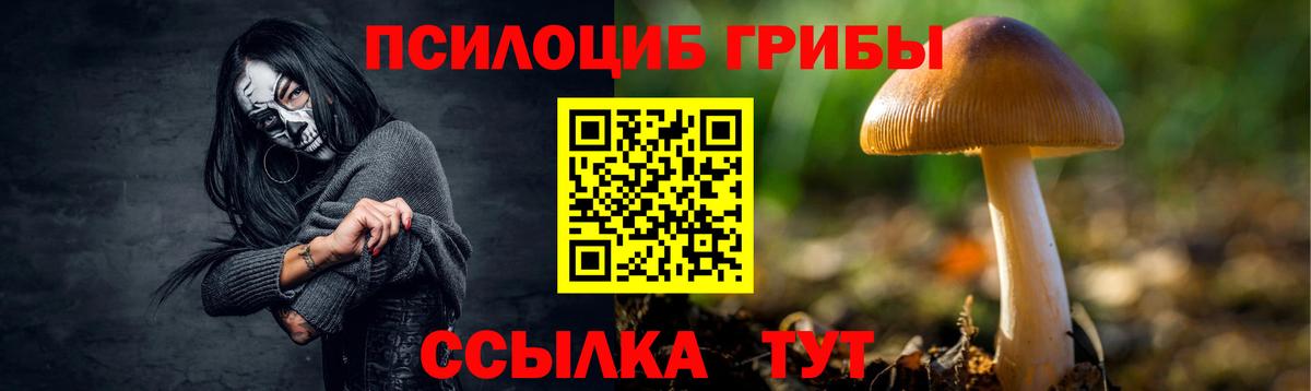 Псилоцибиновые грибы Psilocybine cubensis Кинешма